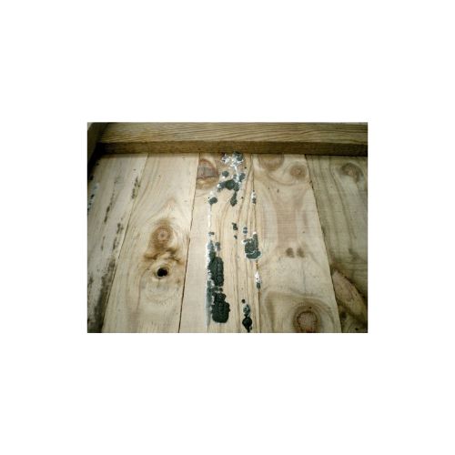 FRT 307: Blanqueante industrial