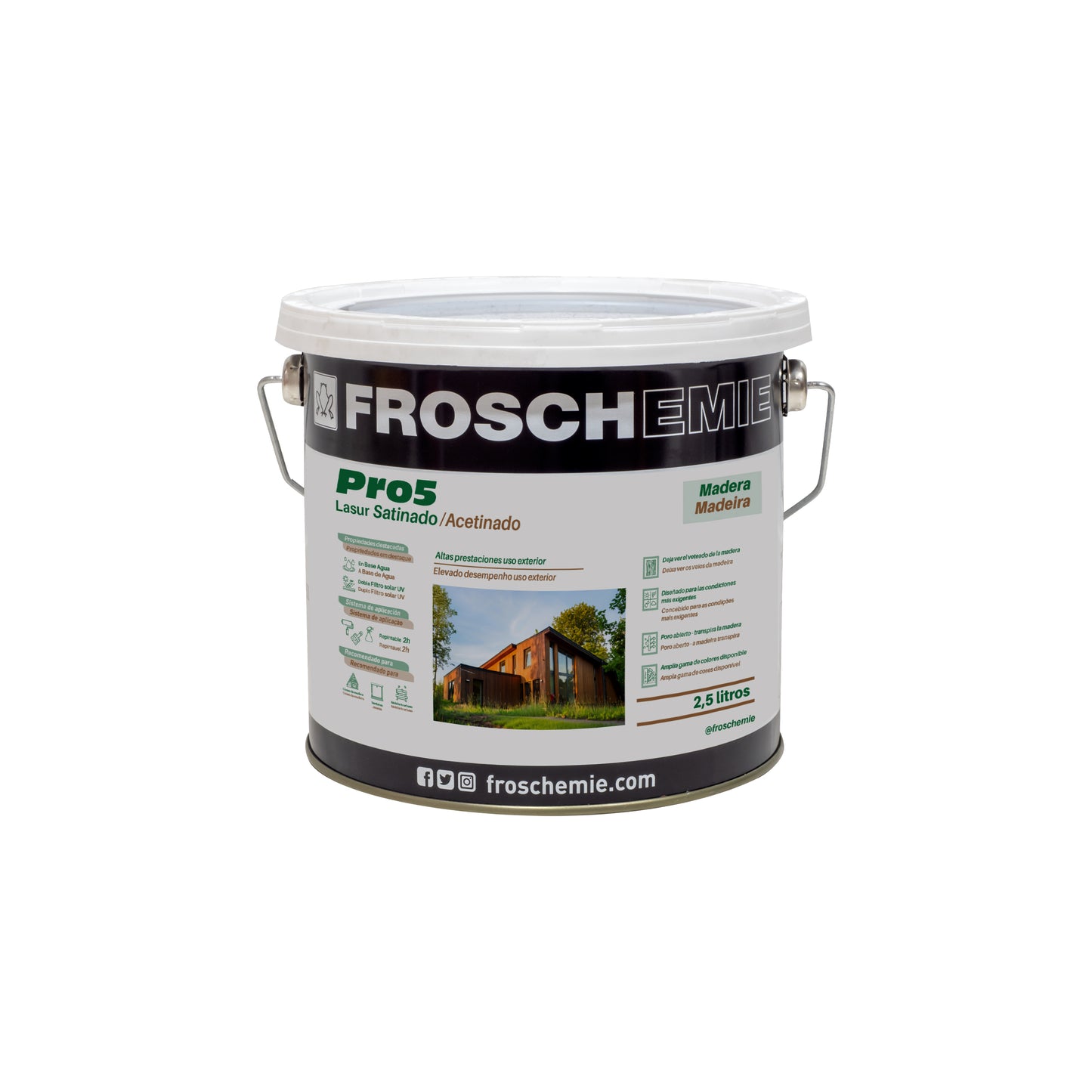 Pro 5: Pintado de madera exterior (lasur satinado)